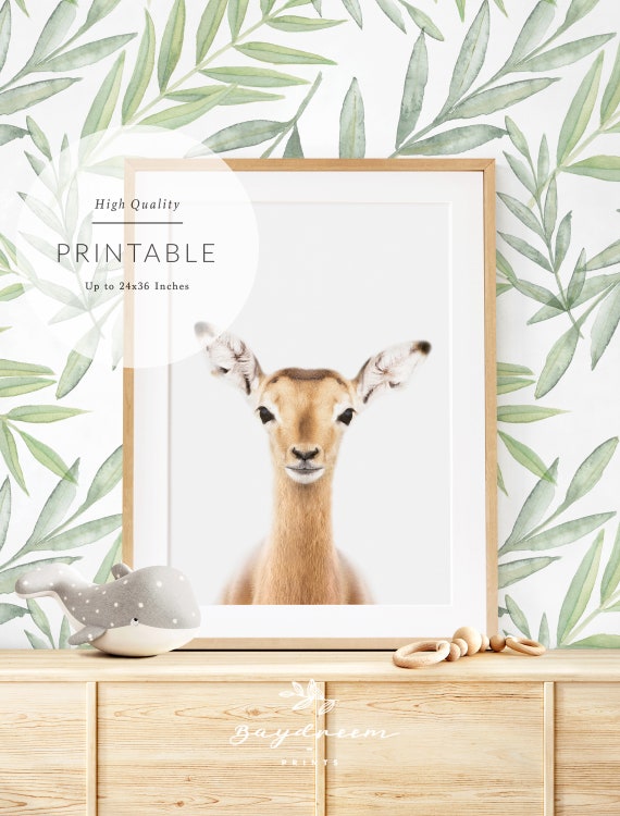 Baby Safari Animal Nursery Print Baby Impala Printable Baby | Etsy