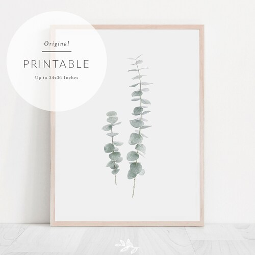 Eucalyptus Wall Art Modern Botanical Print Eucalyptus Print Etsy