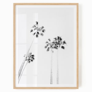 Palm Trees Print - Digital Download - Black And White Palm Tree Print - Printable Palm Tree Art - Palm Trees Poster