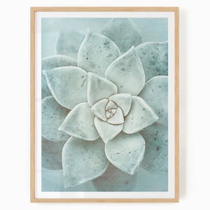 Boho Botanical Print - Desert Plant Art Digital Download - Succulent Wall Art - Succulent Plant Printable