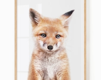 Könnte beinhalten: Ein Nahaufnahmeporträt eines Rotfuchs-Jungtiers mit einer weißen Brust und einer weißen Schwanzspitze. Der Fuchs hat blaue Augen und schaut direkt in die Kamera.