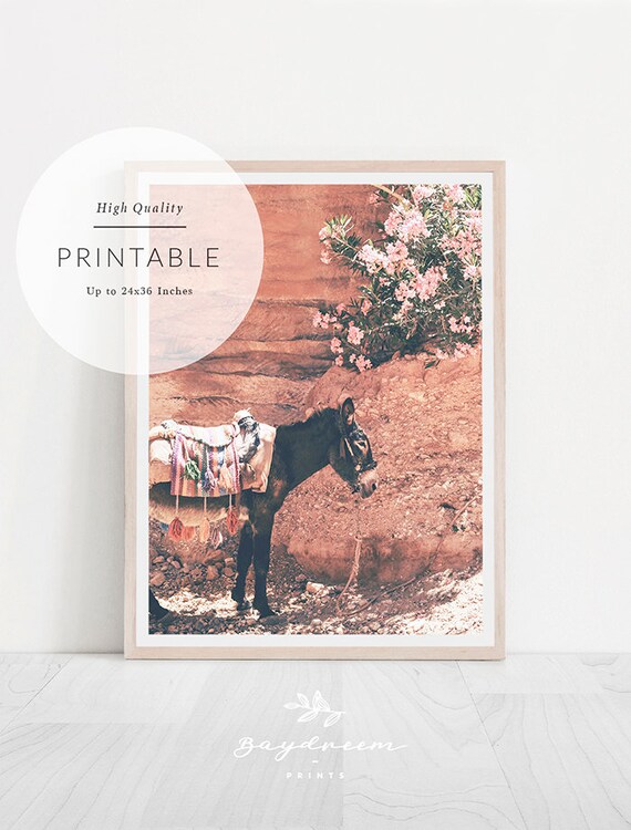 Donkey Print Boho Living Room Decor Prints Printables Modern Wall Art Pink Printable