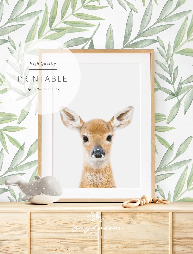 Baby Deer Nursery Print Woodland Nursery Deer Decor Fawn Etsy