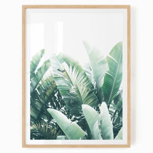 Arte foglia di banana - Download digitale - Stampa tropicale - Stampa foglia di banana - Arte murale Boho Greenery - Fotografia di piante - Stampa foglia di banana
