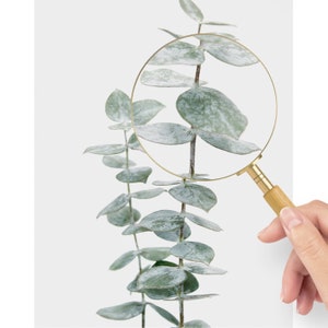 Botanical Print Digital Download - Eucalyptus Printable Art - Neutral ...