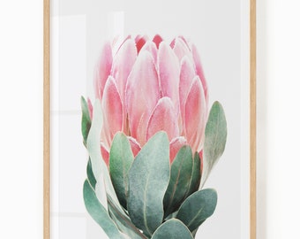 Protea Print Digital Download - Boho Flower Wall Art - Spring Art Print - Coastal Flower Art - Boho Floral Decor