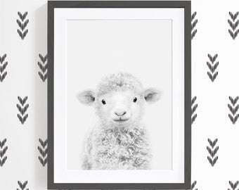 Baby Sheep Picture - Baby Farm Animal Nursery - Sheep Nursery Wall Art - Black and White Farm Animal Print - Sheep Art Nursery - Farm Animal