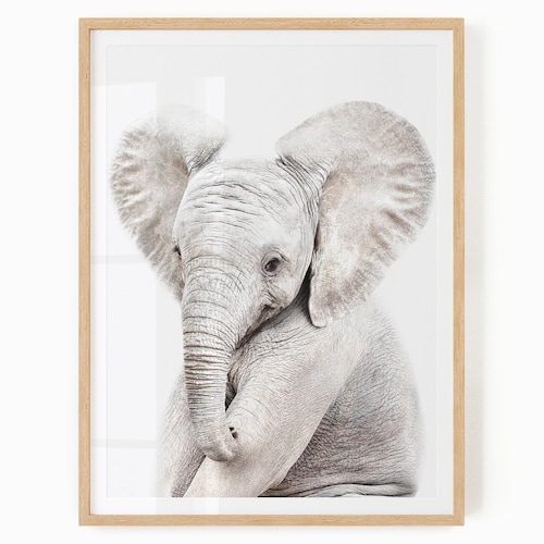 Baby Hippo Print Safari Animal Wall Art Nursery Poster Etsy