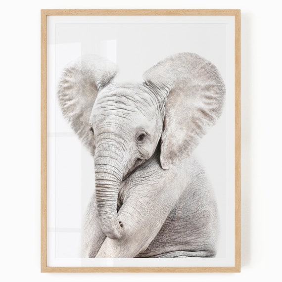 Elephant Printable Wall Art Animal Picture for Baby and Kids Room Safari  Nursery Decor Baby Elephant Print Safari Baby Animal Art 