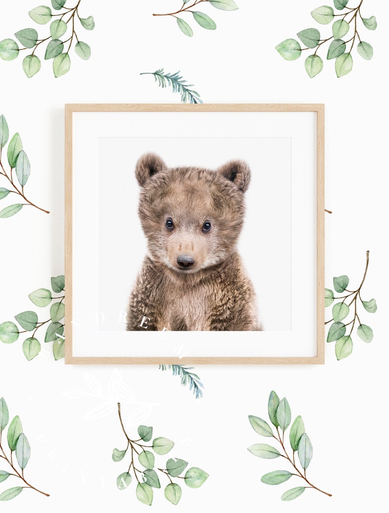 Baby Bear Print Woodland Nursery Animal Baby Bear Wall Art Etsy