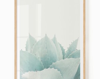 Afdrukbare boho-botanische kunst - woestijnplantprint - digitale download agavekunst
