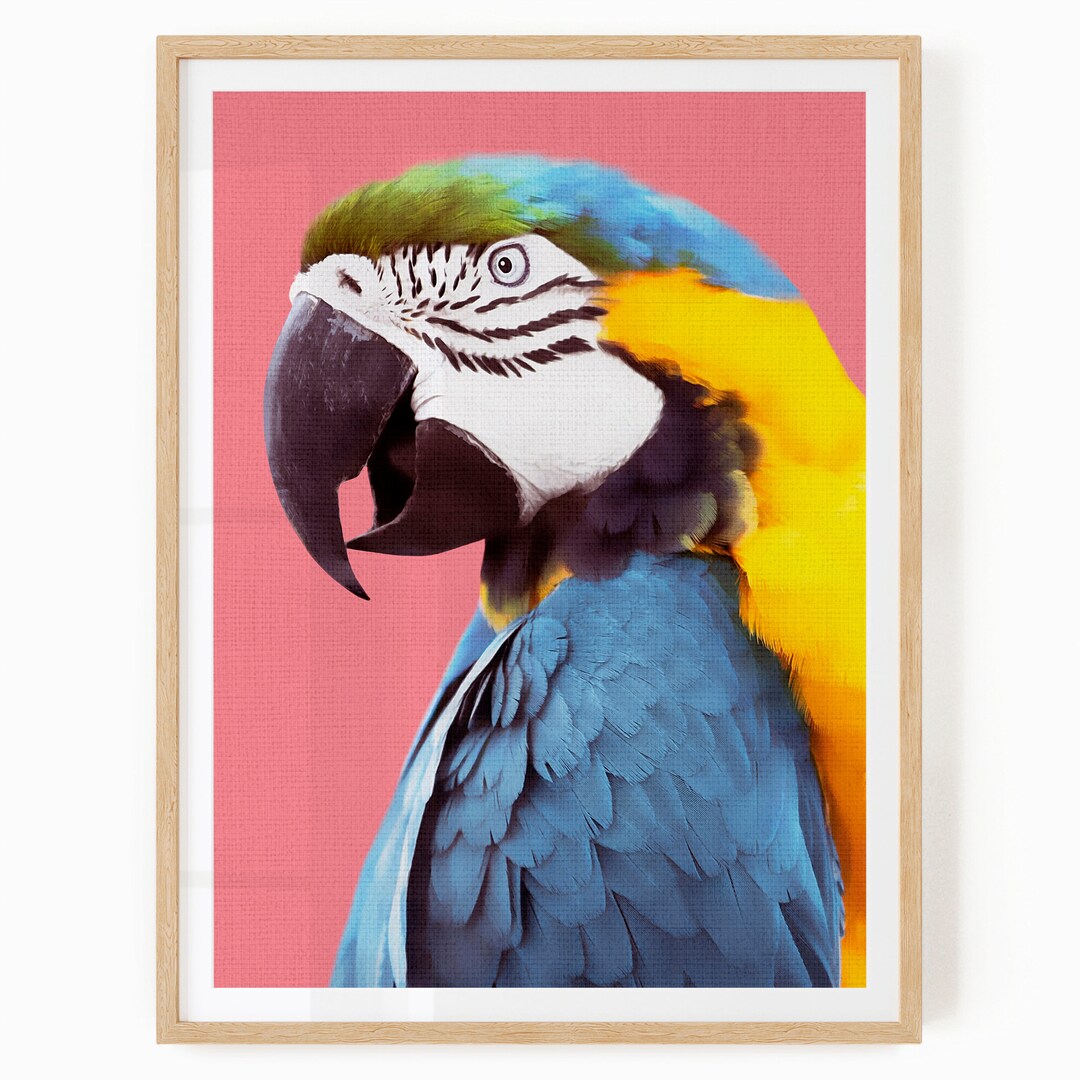 Tropical Bird Wall Art Macaw Print Digital Download Etsy