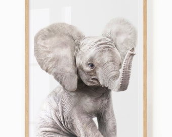 Baby Elephant Nursery Printable - Gender Neutral Baby Room Print - Safari Animal Digital Download - Baby Elephant Print