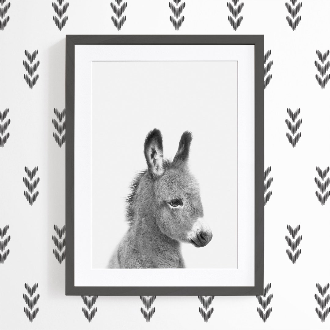 Baby Donkey Art Print Black and White Farm Animal Print for Etsy