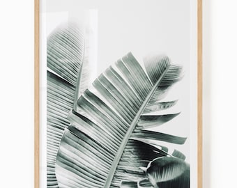 Banana Leaves Digital Download - Tropical Print - Greenery Art - Banana Leaf Print - Tropical Botanical Art - Plant Photography - Green Leaf