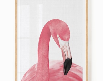 Flamingo Print - Tropical Bird Digital Download - Pink Flamingo Art - Tropical Art