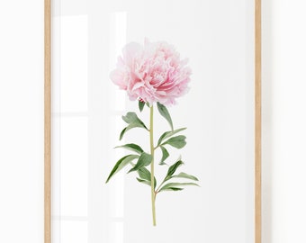 Peony Print - Flower Wall Art Digital Download - Spring Printable Art