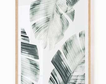 Banana Leaf Print - Digital Download - Tropical Wall Art - Banana Leaves Print - Tropical Printable - Banana Leaf Printable - Tropical Print