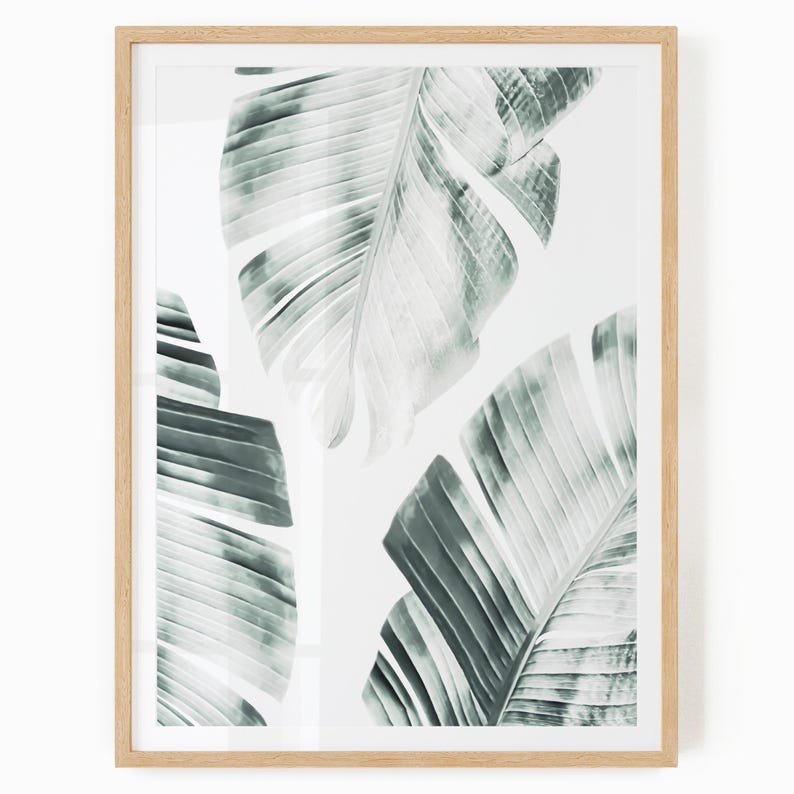 May include: A framed print featuring large, stylized banana leaves in shades of gray and white. The leaves have prominent veining and are set against a white background. The frame is made of light-colored wood.