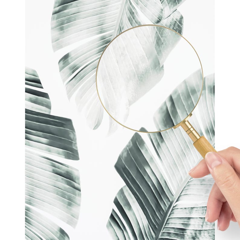 May include: A magnifying glass with a wooden handle and gold-colored frame is held over a white background with large, stylized green and white banana leaves. The leaves have prominent veining and a watercolor effect.