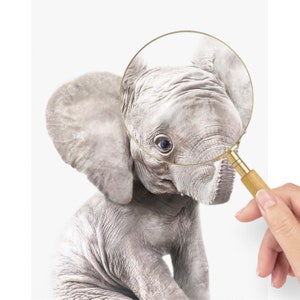 May include: A close-up of a baby elephant with a magnifying glass over its face. The elephant has gray skin and large ears. The magnifying glass is gold and has a wooden handle.