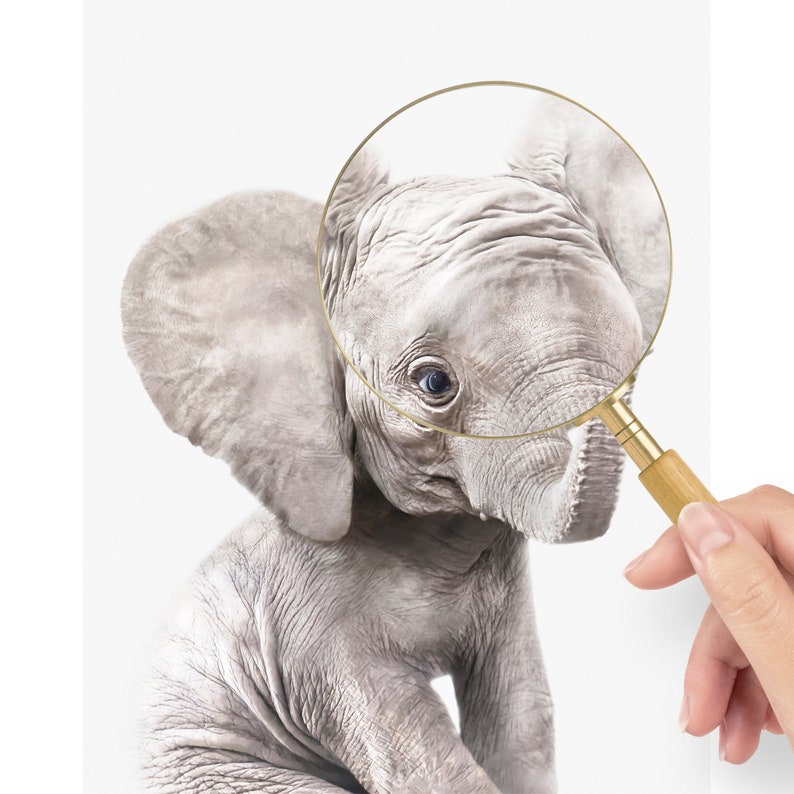May include: A close-up of a baby elephant with a magnifying glass over its face. The elephant has gray skin and large ears. The magnifying glass is gold and has a wooden handle.