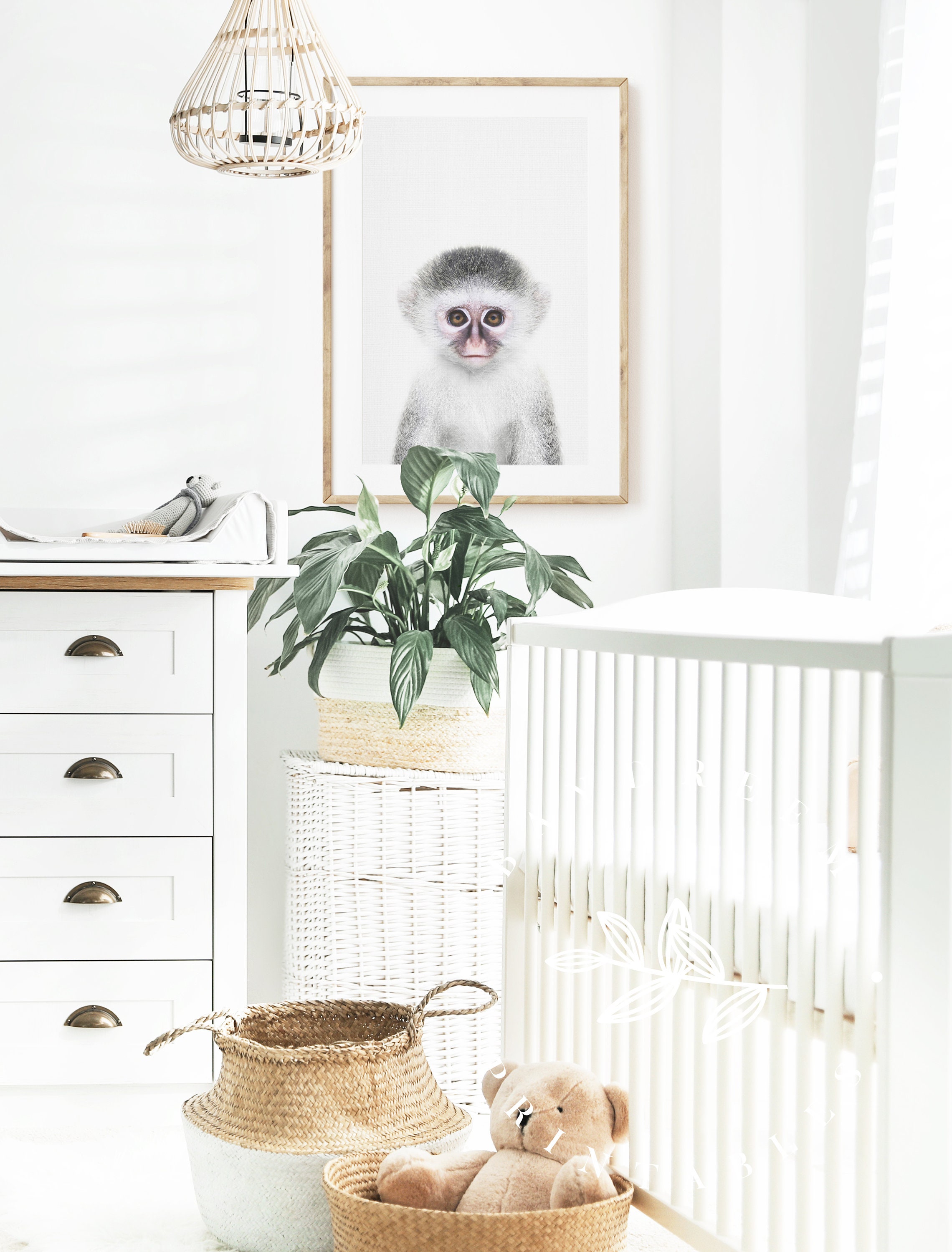 Monkey Nursery Wall Art Baby Monkey Nursery Print Safari Etsy