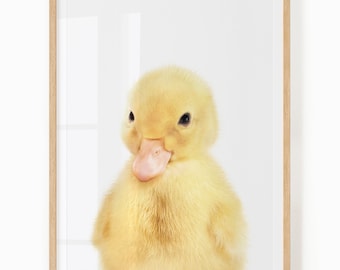 Duckling Nursery Art Printable - Farm Themed Nursery Digital Download - Baby Duck Print
