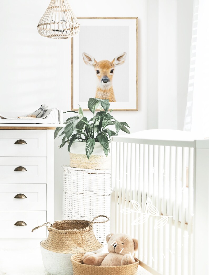 Baby Deer Nursery Print Woodland Nursery Deer Decor Fawn Etsy