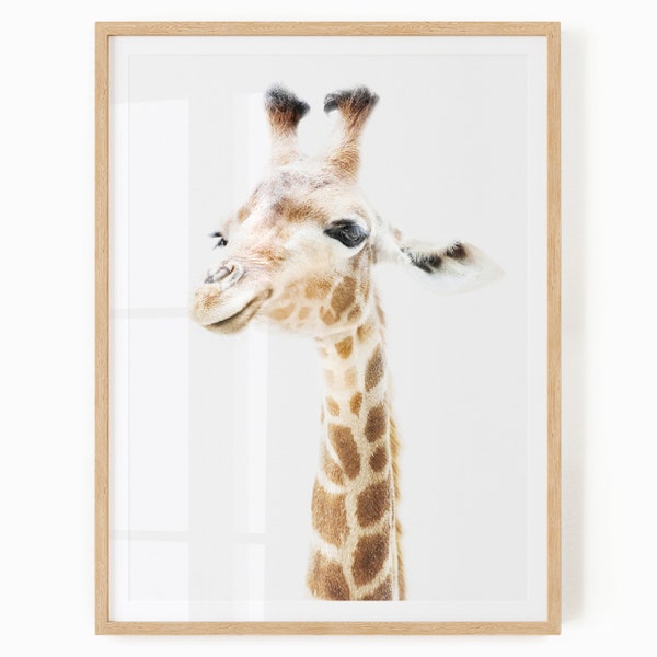 Baby Giraffe Nursery Printable - Safari Theme Wall Art Digital Download - Baby Giraffe Neutral Nursery Decor - Baby Giraffe Print