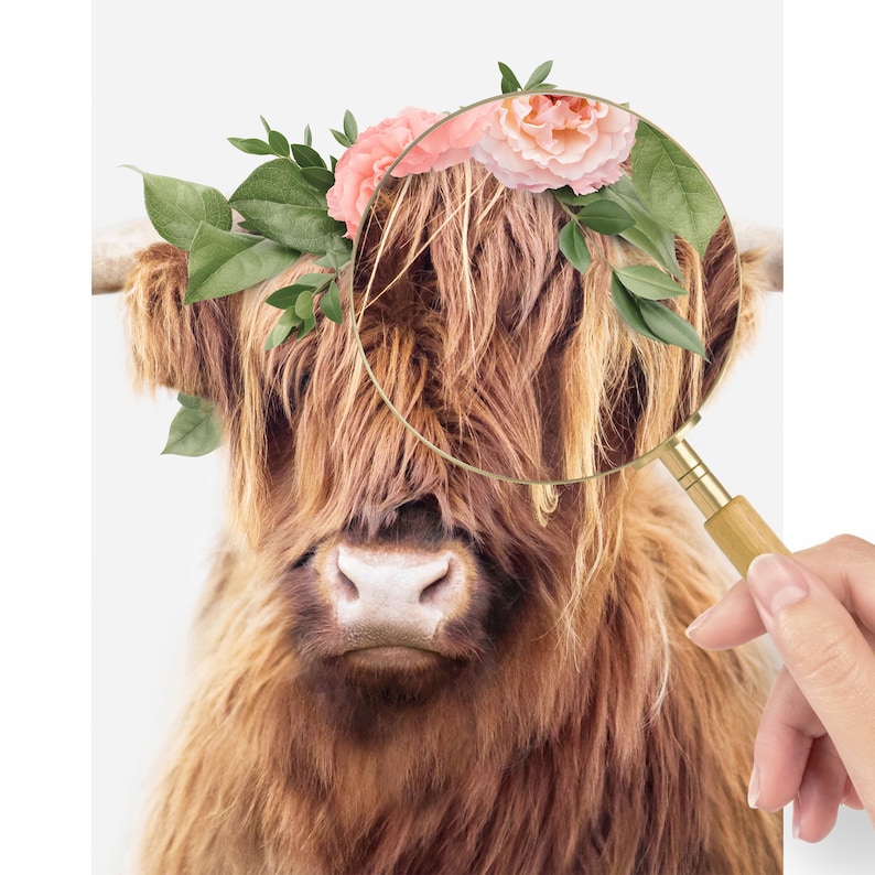 May include: A close-up of a Highland cow with long, brown fur wearing a pink flower crown. The cow's face is visible, and the flowers are in focus.