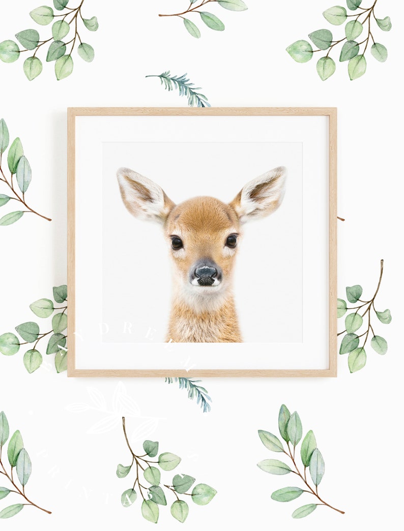 Baby Deer Nursery Print Woodland Nursery Deer Decor Fawn Etsy