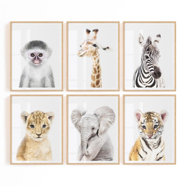 Safari Animals Nursery Prints, Digital Download, Neutral Nursery Prints, Set of 6 Nursery Animals, Safari Nursery Decor, Set of 6 Animals image 1