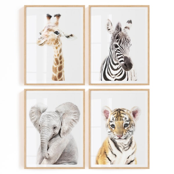 Safari Nursery Animals Printables - Nursery Set of 4 Prints Digital Downloads - Safari Baby Room Decor