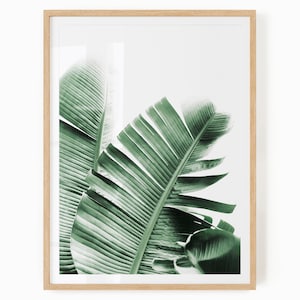Download digitale di foglie di banano - Stampa tropicale - Arte verde - Stampa di foglie di banano - Arte botanica tropicale - Fotografia di piante - Foglia verde