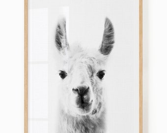 Llama Print Digital Download - Black and White Llama Wall Art - Llama Printable Decor