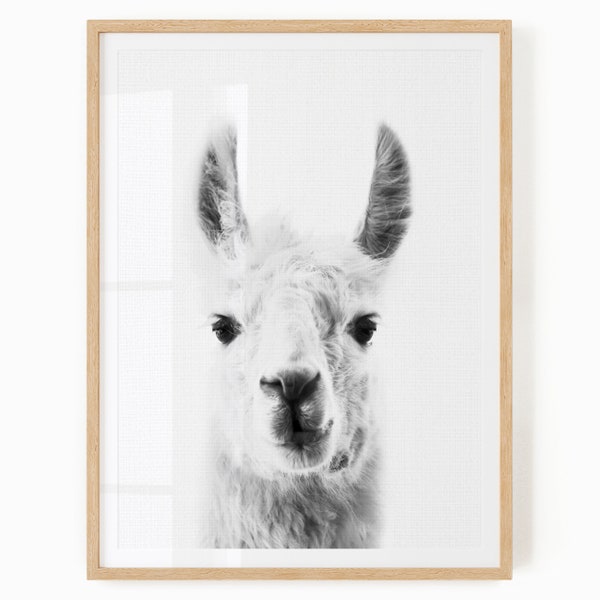 Llama Print Digital Download - Black and White Llama Wall Art - Llama Printable Decor
