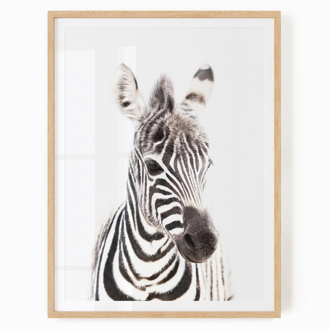Zebra Wall Art Printable - Safari Theme Nursery Decor - Baby Animal ...