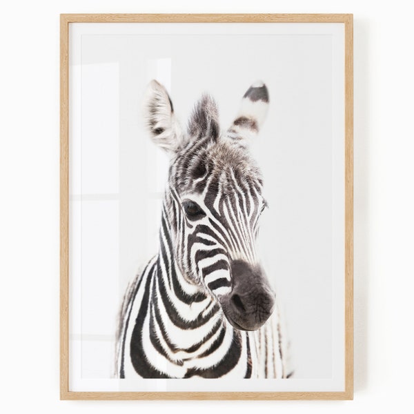 Zebra Wall Art Printable - Safari Theme Nursery Decor - Baby Animal Picture - Gender Neutral Nursery Art - Baby Zebra Print