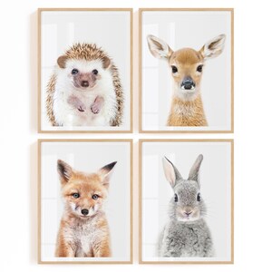 Baby Woodland Animal Printables - Forest Themed Nursery Decor - Woodland Wall Art Digital Downloads - Forest Animals Art
