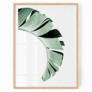 Banana Leaf Printable Tropical Print Banana Leaf Wall Art Tropical Leaf Print Download Modern Tropical Print Tropical Leaf Art image 1