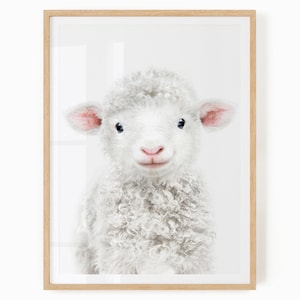 Sheep Nursery Wall Art - Lamb Art - Printable Animal Art for Baby Room - Gender Neutral Baby Decor - Baby Sheep Print