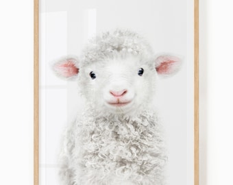 Sheep Nursery Wall Art - Lamb Art - Printable Animal Art for Baby Room - Gender Neutral Baby Decor - Baby Sheep Print