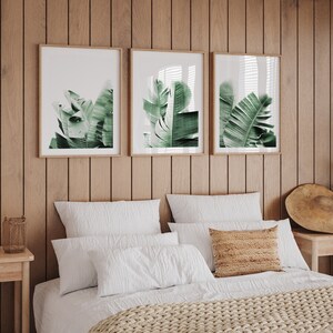 Banana Leaf Prints Leaves Printable Set of 3 Plant Prints Botanical Print Set of 3 Boho Art Tropical Wall Art Greenery Printable image 2