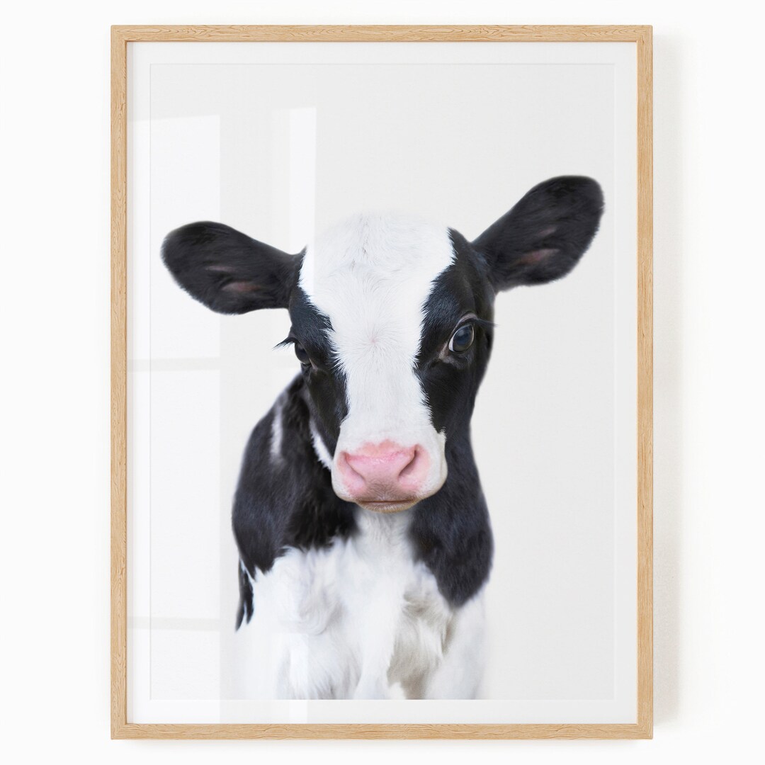 Baby Cow Wall Art Digital Download Farm Animal Nursery Decor Farmhouse
