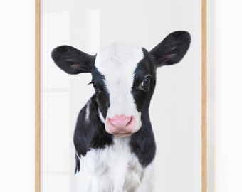 Baby Cow Wall Art Digital Download - Farm Animal Nursery Decor - Farmhouse Baby Room Art Printable - Baby Cow Print