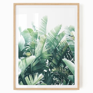 Banana Leaf Print Digital Download - Tropical Leaves - Greenery Printable - Boho Botanical Print - Tropical Leaf Wall Art - Banana Leaf Art