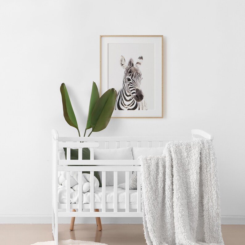 Zebra Wall Art Printable Safari Theme Nursery Decor Baby Etsy