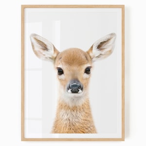 Baby Deer Wall Art Printable - Forest Themed Nursery Art - Woodland Animal Digital Download - Fawn Art for Baby and Kids