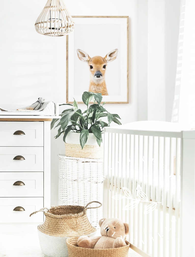 Baby Deer Nursery Print Woodland Nursery Deer Decor Fawn Etsy